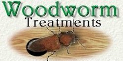 Woodworm Treatment - Kent